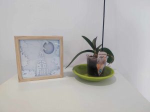 Lightbox personnalisable – Image 6