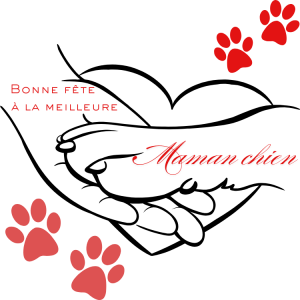 T-shirt personnalisé – Image 2